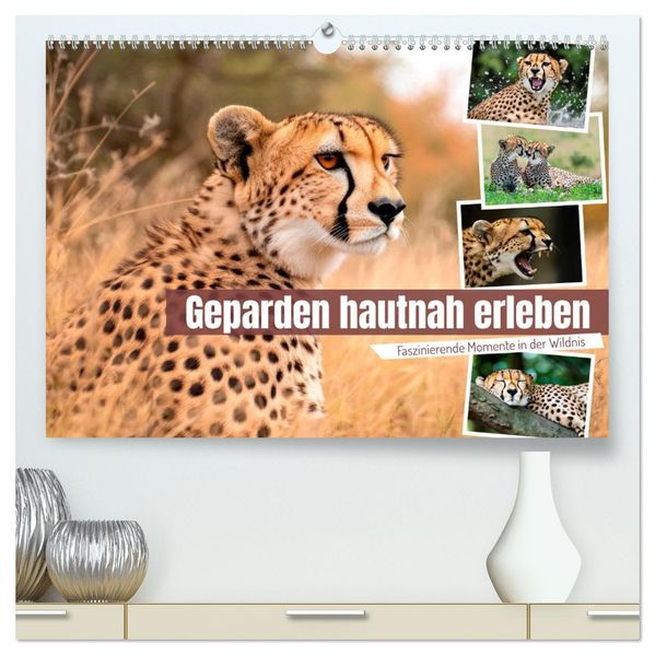 Geparden hautnah erleben (hochwertiger Premium Wandkalender 2027 DIN A2 quer) Kunstdruck in Hochglanz