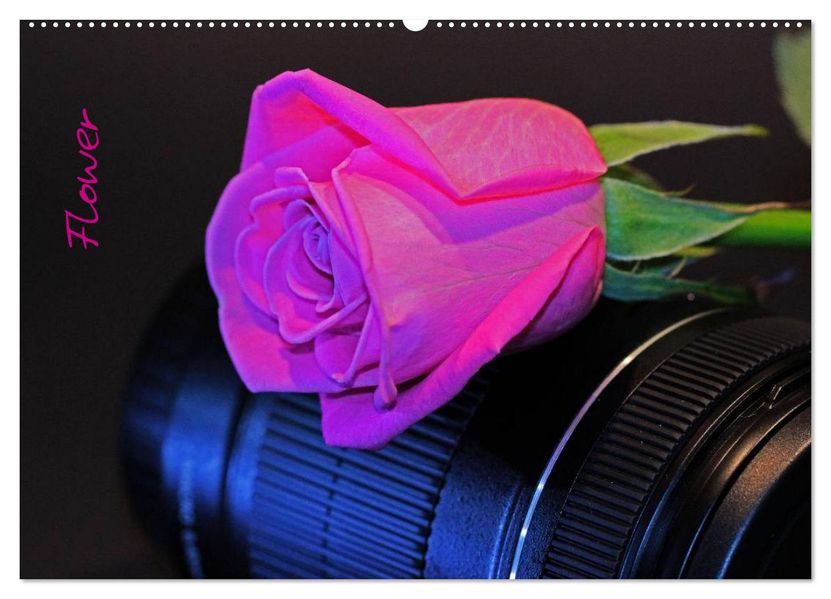 Flower (Wandkalender 2027 DIN A2 quer) CALVENDO Monatskalender