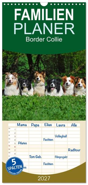 Familienplaner 2027 - Border Collie 2027 mit 5 Spalten (Wandkalender 21 x 45 cm) CALVENDO