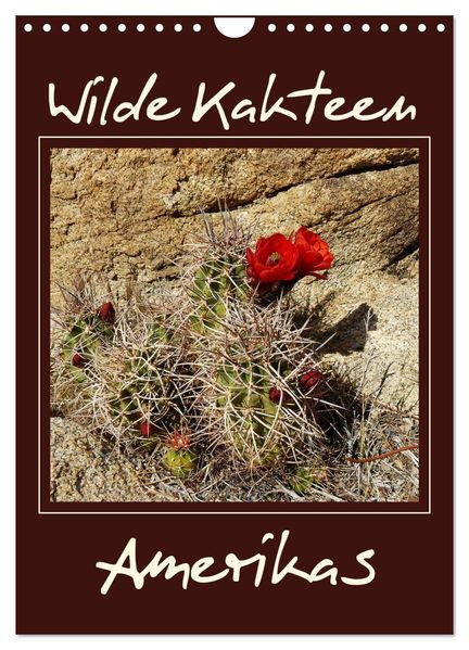 Wilde Kakteen Amerikas (Wandkalender 2027 DIN A4 hoch) CALVENDO Monatskalender