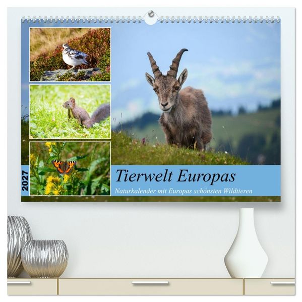 Tierwelt Europas - Naturkalender mit Europas schönsten Wildtieren (hochwertiger Premium Wandkalender 2027 DIN A2 quer) Kunstdruck in Hochglanz
