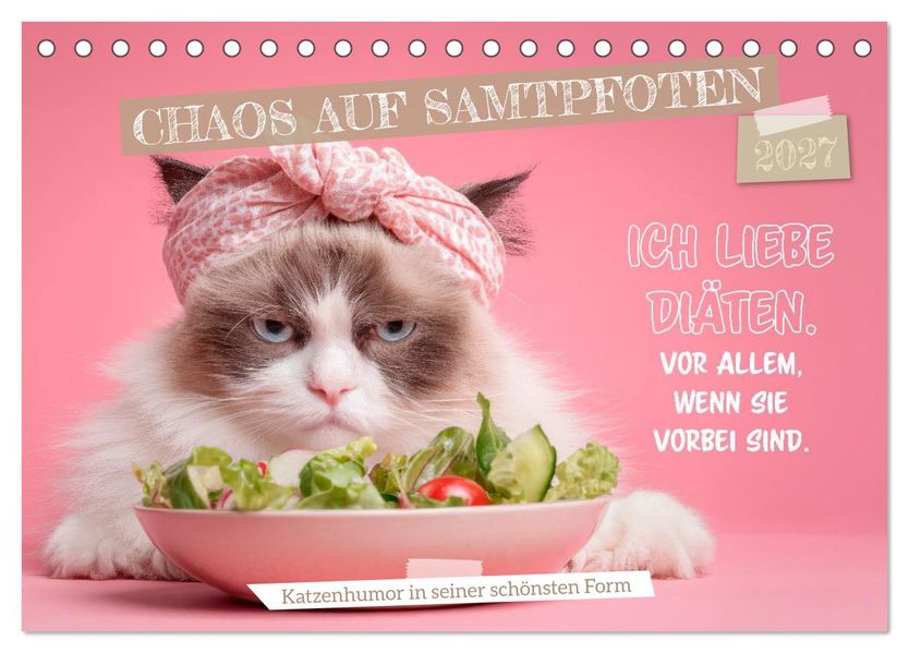 Chaos auf Samtpfoten (Tischkalender 2027 DIN A5 quer) CALVENDO Monatskalender