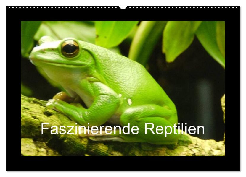 Faszinierende Reptilien (Wandkalender 2027 DIN A2 quer) CALVENDO Monatskalender