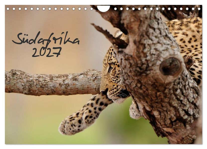 Südafrika (Wandkalender 2027 DIN A4 quer) CALVENDO Monatskalender