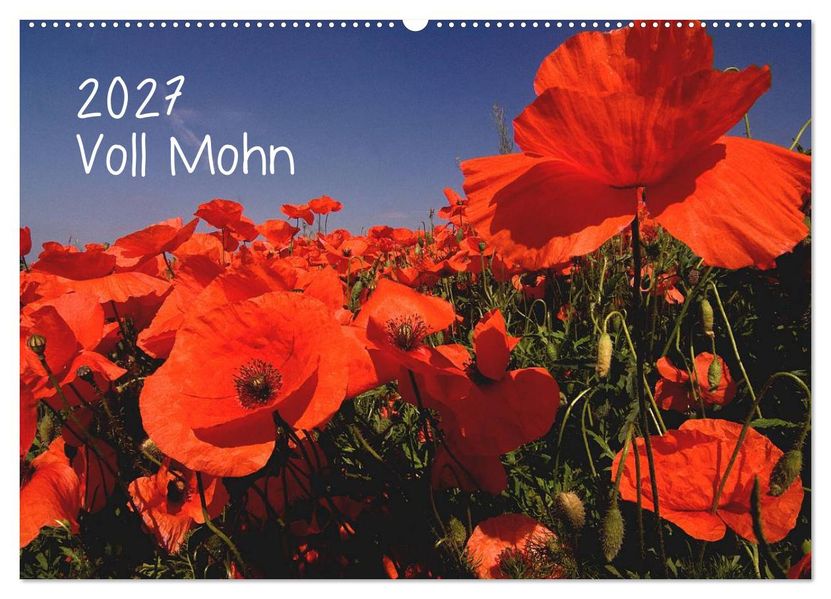 Voll Mohn (Wandkalender 2027 DIN A2 quer) CALVENDO Monatskalender