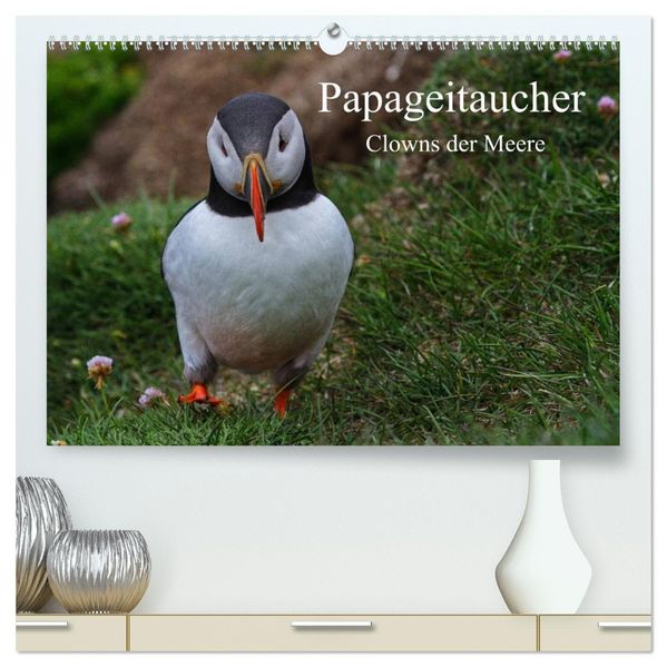 Papageitaucher Clowns der Meere (hochwertiger Premium Wandkalender 2027 DIN A2 quer) Kunstdruck in Hochglanz