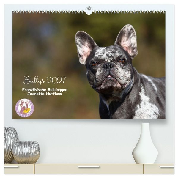 Bullys - Französische Bulldoggen 2027 (hochwertiger Premium Wandkalender 2027 DIN A2 quer) Kunstdruck in Hochglanz