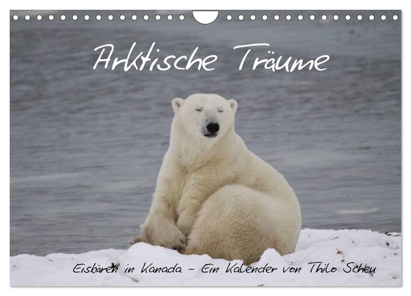 Arktische Träume - Eisbären in Kanada (Wandkalender 2027 DIN A4 quer) CALVENDO Monatskalender