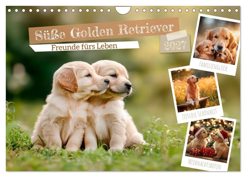 Süße Golden Retriever - Freunde fürs Leben (Wandkalender 2027 DIN A4 quer) CALVENDO Monatskalender
