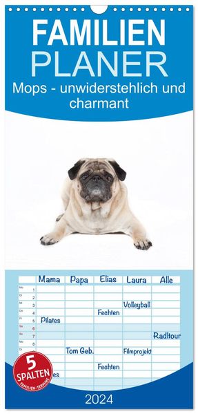Familienplaner 2027 - Mops - unwiderstehlich und charmant mit 5 Spalten (Wandkalender 21 x 45 cm) CALVENDO