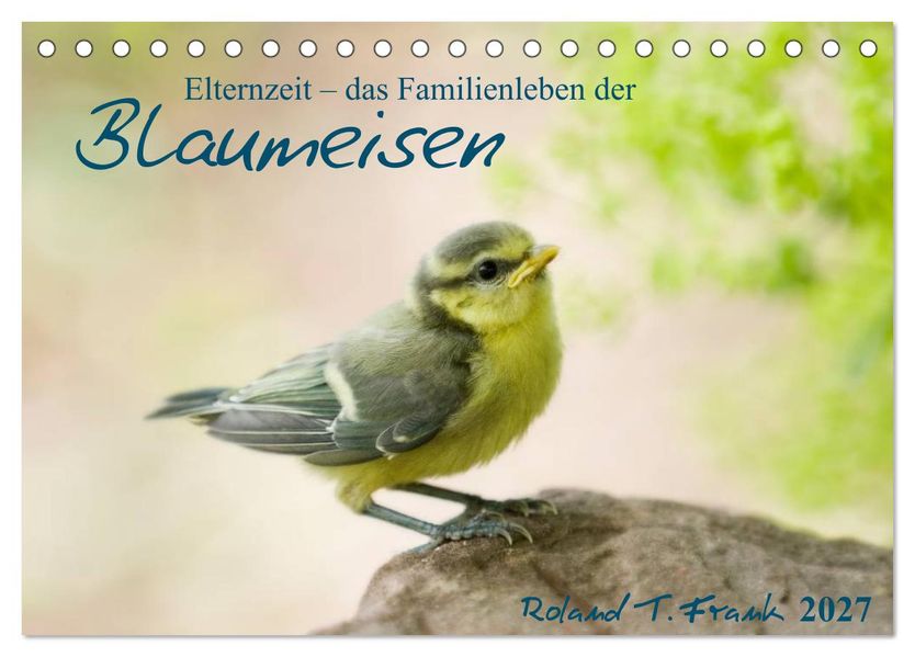 Elternzeit - das Familienleben der Blaumeisen (Tischkalender 2027 DIN A5 quer) CALVENDO Monatskalender