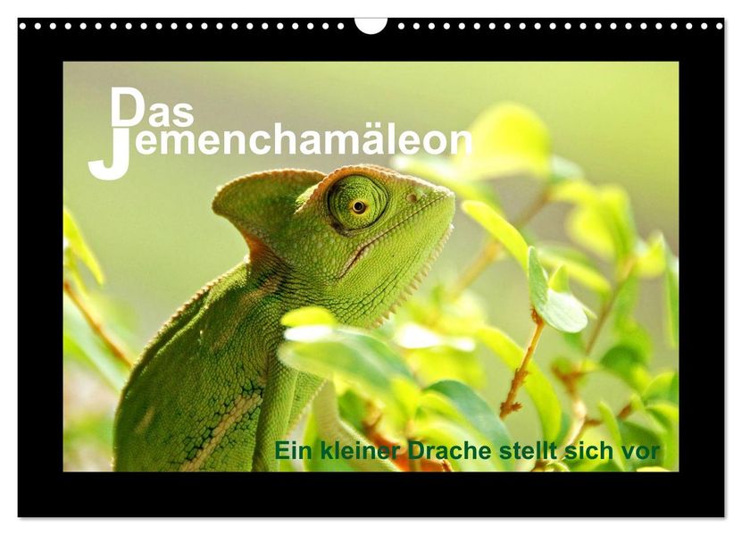 Das Jemenchamäleon (Wandkalender 2027 DIN A3 quer) CALVENDO Monatskalender