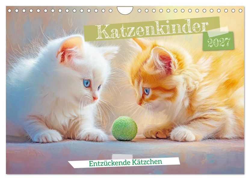 Katzenkinder - Entzückende Kätzchen (Wandkalender 2027 DIN A4 quer) CALVENDO Monatskalender