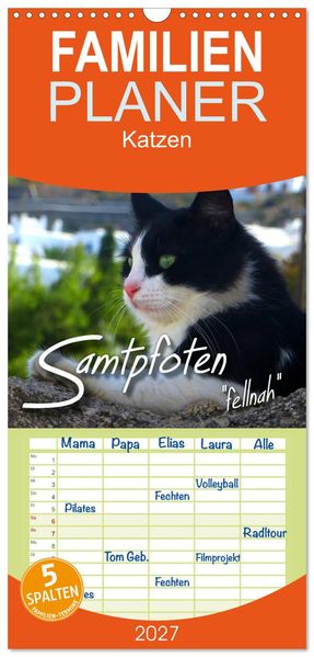 Familienplaner 2027 - SAMTPFOTEN 'fellnah' mit 5 Spalten (Wandkalender 21 x 45 cm) CALVENDO