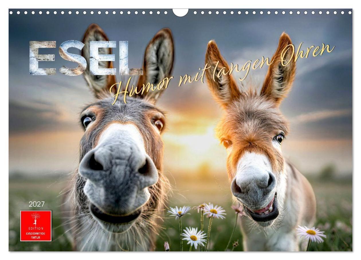 Esel - Humor mit langen Ohren (Wandkalender 2027 DIN A3 quer) CALVENDO Monatskalender