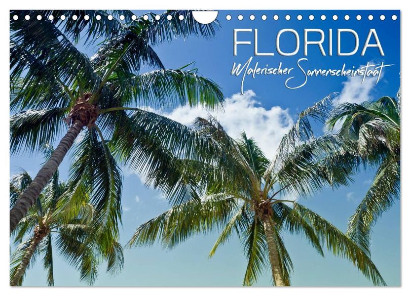 FLORIDA Malerischer Sonnenscheinstaat (Wandkalender 2027 DIN A4 quer) CALVENDO Monatskalender