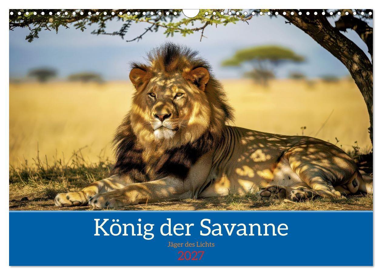 Löwen der Savanne (Wandkalender 2027 DIN A3 quer) CALVENDO Monatskalender
