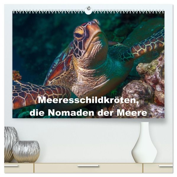 Meeresschildkröten die Nomaden der Meere (hochwertiger Premium Wandkalender 2027 DIN A2 quer) Kunstdruck in Hochglanz