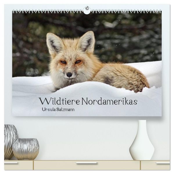 Wildtiere Nordamerikas (hochwertiger Premium Wandkalender 2027 DIN A2 quer) Kunstdruck in Hochglanz