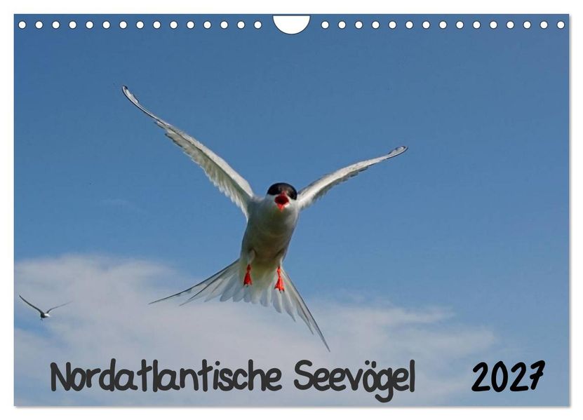 Nordatlantische Seevögel (Wandkalender 2027 DIN A4 quer) CALVENDO Monatskalender