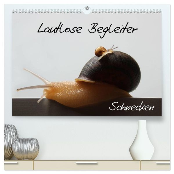 Lautlose Begleiter - Schnecken (hochwertiger Premium Wandkalender 2027 DIN A2 quer) Kunstdruck in Hochglanz