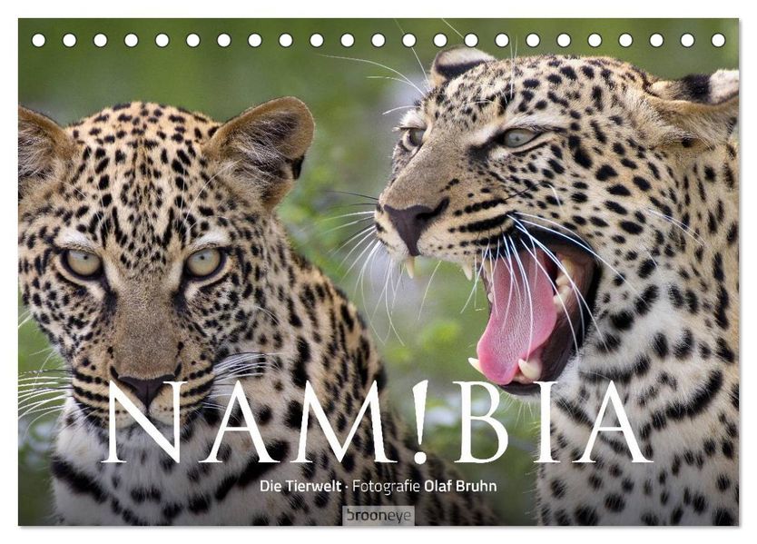 Namibia - Die Tierwelt (Tischkalender 2027 DIN A5 quer) CALVENDO Monatskalender