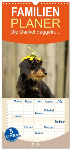 Familienplaner 2027 - Die Dackel daggeln.... mit 5 Spalten (Wandkalender 21 x 45 cm) CALVENDO