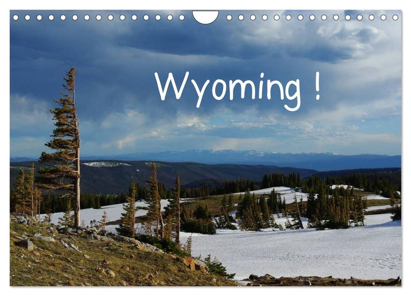 Wyoming! (Wandkalender 2027 DIN A4 quer) CALVENDO Monatskalender