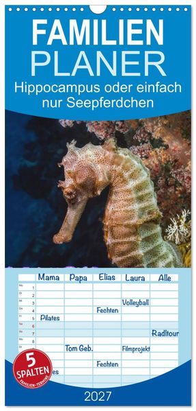 Familienplaner 2027 - Hippocampus oder einfach nur Seepferdchen mit 5 Spalten (Wandkalender 21 x 45 cm) CALVENDO