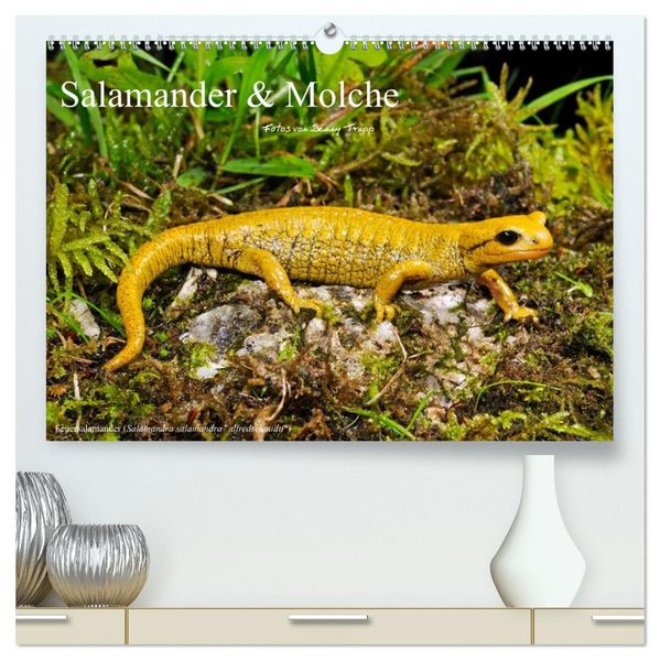 Salamander und Molche (hochwertiger Premium Wandkalender 2027 DIN A2 quer) Kunstdruck in Hochglanz