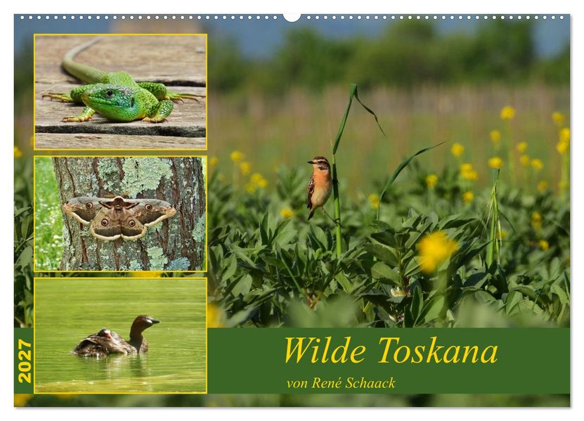 Wilde Toskana - von René Schaack (Wandkalender 2027 DIN A2 quer) CALVENDO Monatskalender
