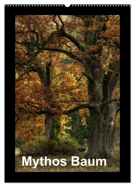 Mythos Baum / 2027 (Wandkalender 2027 DIN A2 hoch) CALVENDO Monatskalender