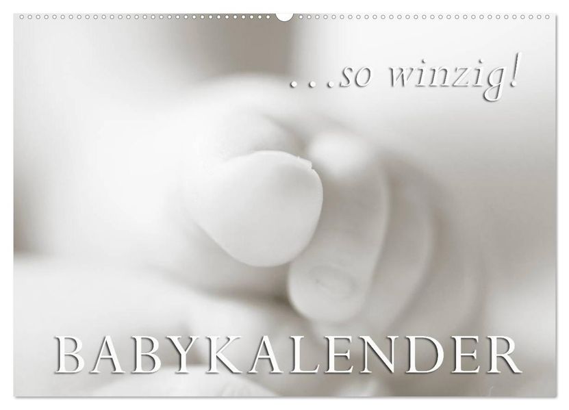 ...so winzig - Babykalender (Wandkalender 2027 DIN A2 quer) CALVENDO Monatskalender