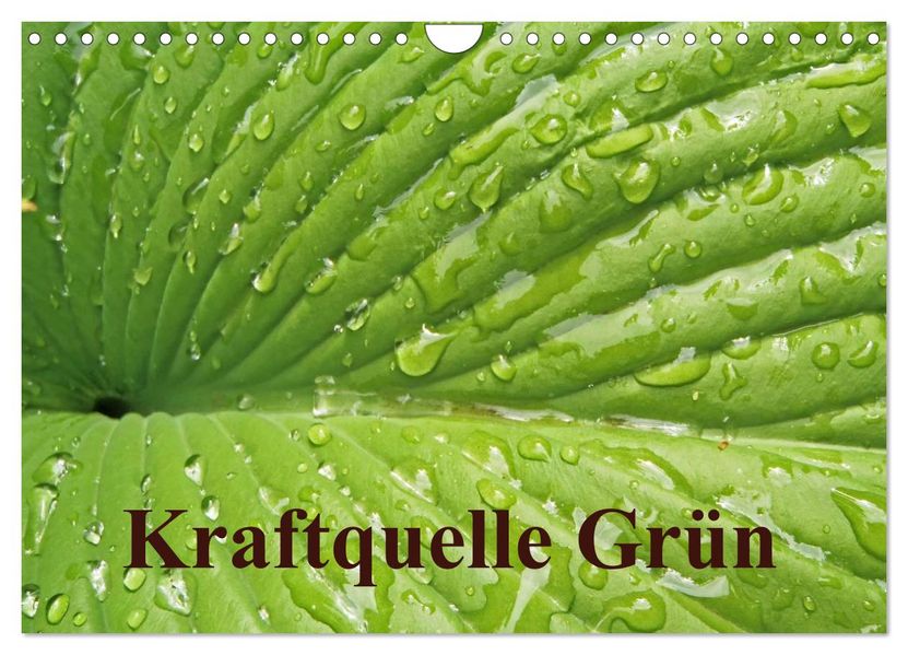 Kraftquelle Grün (Wandkalender 2027 DIN A4 quer) CALVENDO Monatskalender