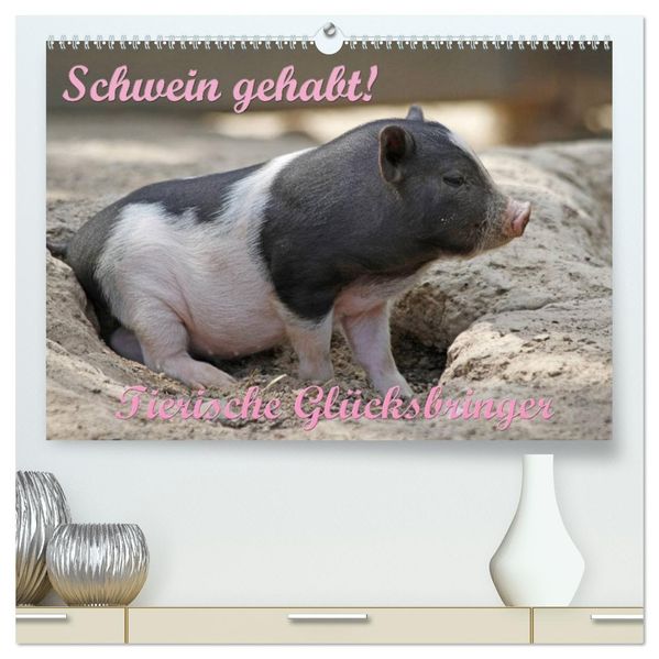Schwein gehabt! (hochwertiger Premium Wandkalender 2027 DIN A2 quer) Kunstdruck in Hochglanz