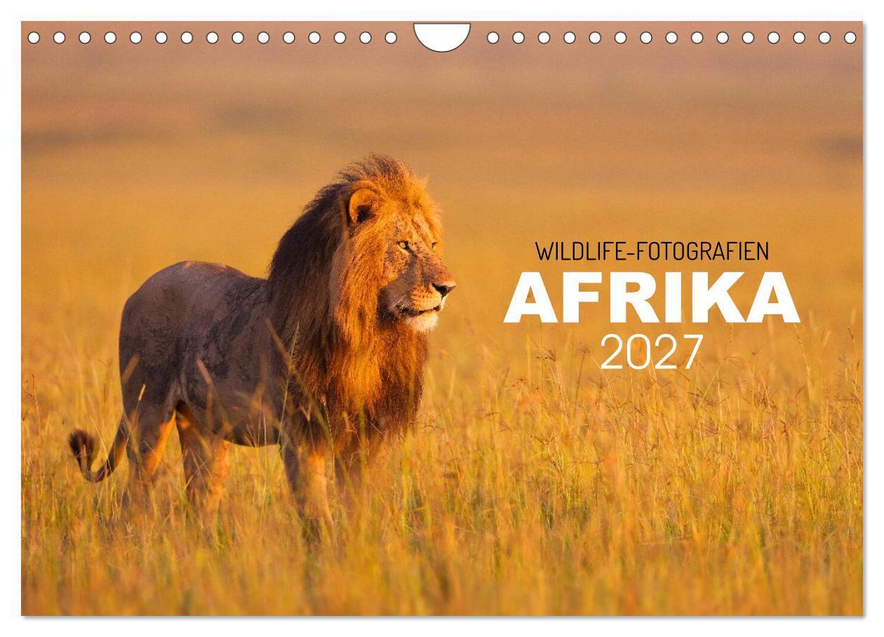 Afrika Wildlife-Fotografien (Wandkalender 2027 DIN A4 quer) CALVENDO Monatskalender