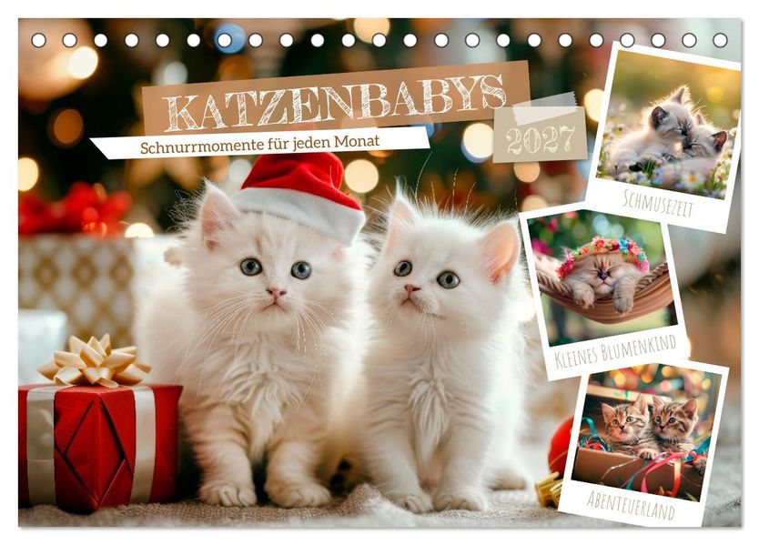 Katzenbabys - Schnurrmomente für jeden Monat (Tischkalender 2027 DIN A5 quer) CALVENDO Monatskalender