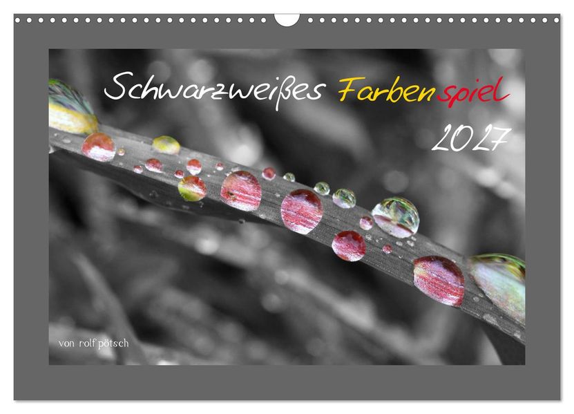 Schwarzweißes Farbenspiel 2027 (Wandkalender 2027 DIN A3 quer) CALVENDO Monatskalender