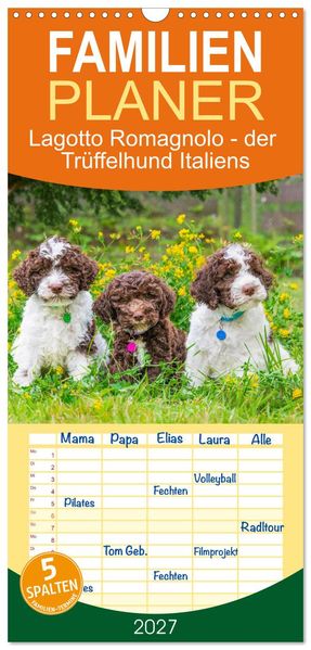 Familienplaner 2027 - Lagotto Romagnolo - der Trüffelhund Italiens mit 5 Spalten (Wandkalender 21 x 45 cm) CALVENDO