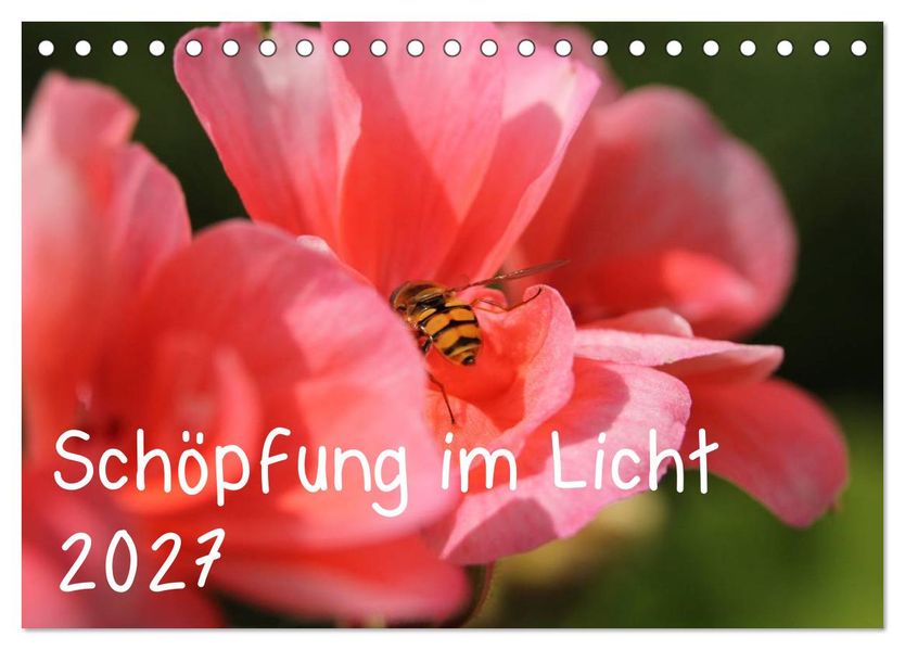 Schöpfung im Licht (Tischkalender 2027 DIN A5 quer) CALVENDO Monatskalender