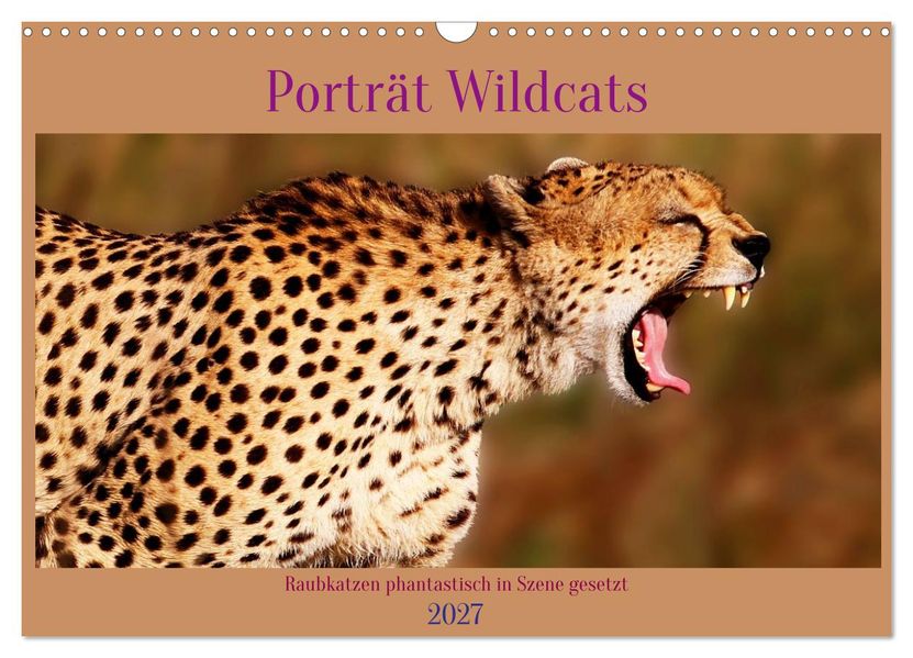Porträt Wildcats (Wandkalender 2027 DIN A3 quer) CALVENDO Monatskalender