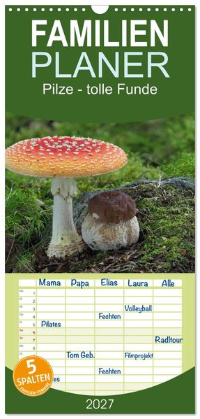 Familienplaner 2027 - Pilze - tolle Funde mit 5 Spalten (Wandkalender 21 x 45 cm) CALVENDO