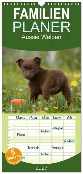 Familienplaner 2027 - Aussie Welpen 2027 mit 5 Spalten (Wandkalender 21 x 45 cm) CALVENDO
