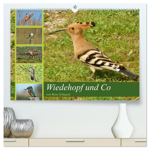 Wiedehopf und Co - von René Schaack (hochwertiger Premium Wandkalender 2027 DIN A2 quer) Kunstdruck in Hochglanz