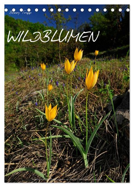 WILDBLUMEN (Tischkalender 2027 DIN A5 hoch) CALVENDO Monatskalender