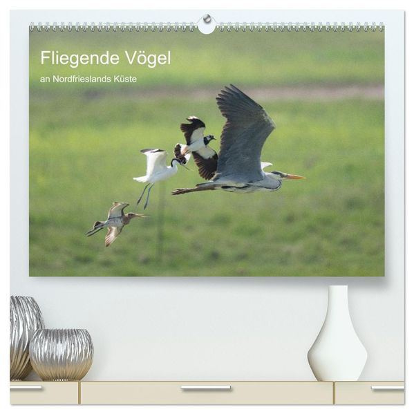 Fliegende Vögel an Nordfrieslands Küste (hochwertiger Premium Wandkalender 2027 DIN A2 quer) Kunstdruck in Hochglanz