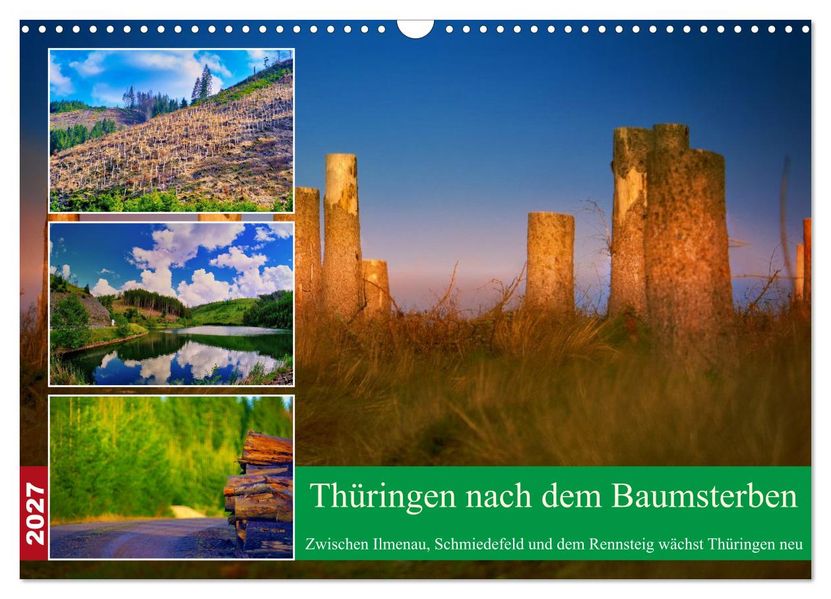 Thüringen nach dem Baumsterben (Wandkalender 2027 DIN A3 quer) CALVENDO Monatskalender