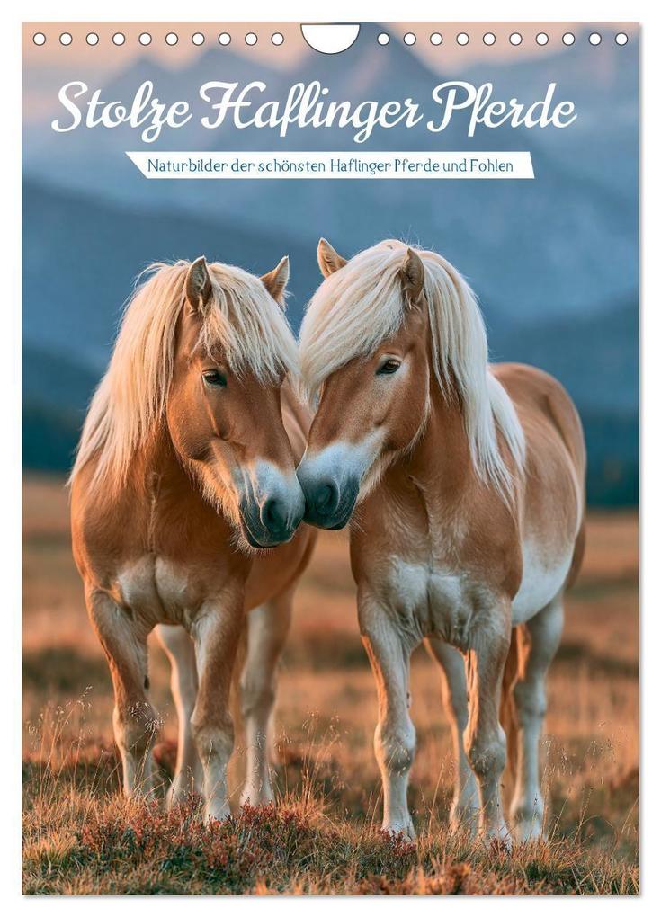 Stolze Haflinger Pferde (Wandkalender 2027 DIN A4 hoch) CALVENDO Monatskalender