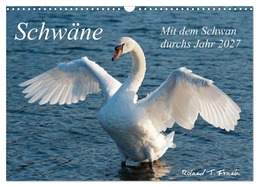 Mit dem Schwan durchs Jahr 2027 (Wandkalender 2027 DIN A3 quer) CALVENDO Monatskalender