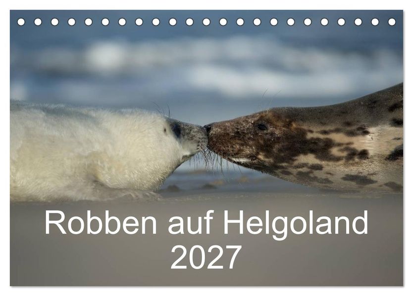 Robben auf Helgoland 2027 (Tischkalender 2027 DIN A5 quer) CALVENDO Monatskalender